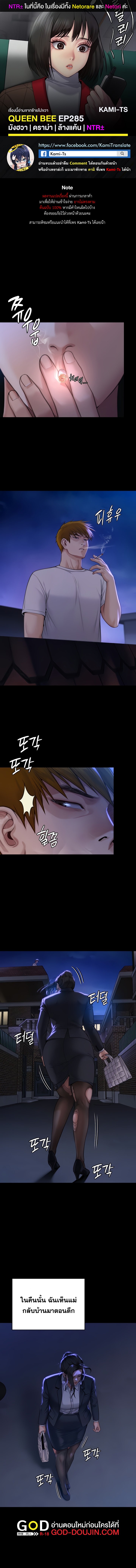 อ่านQueen Bee ตอนที่ 285 - Doujin69 - อ่านโดจินแปลไทย มังงะ Manga Manhwa  การ์ตูนโป๊18+